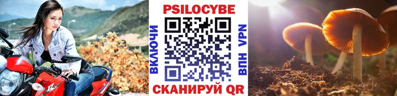 Купить закладки  Сим  Псилоцибиновые грибы MAGIC MUSHROOMS 